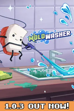 Moldwasher cover art
