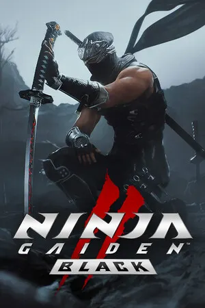 NINJA GAIDEN 2 Black cover art