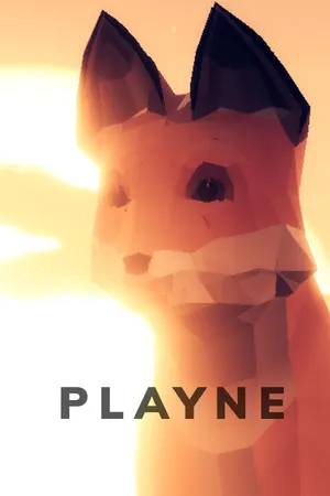 PLAYNE: The Meditation Game Cover