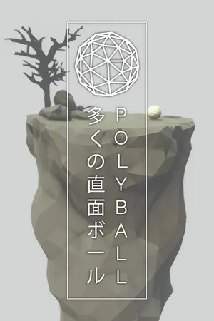 Polyball Cover