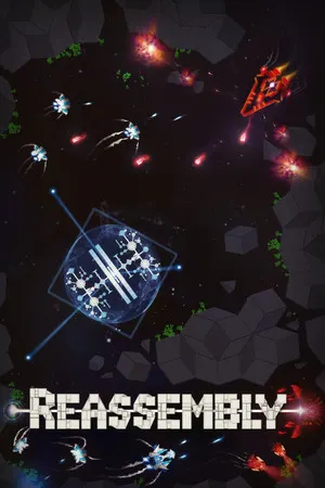 Reassembly Cover