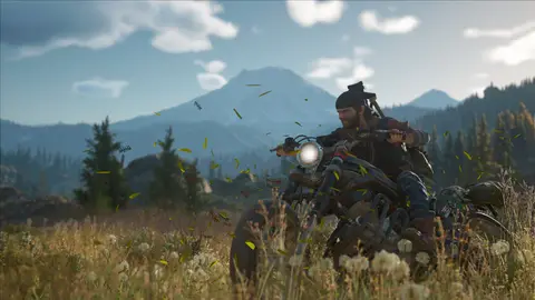 Days Gone Screenshot 3 von 4