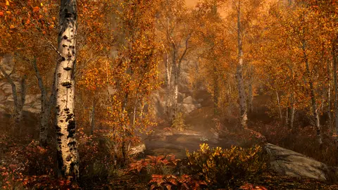 The Elder Scrolls V: Skyrim Special Edition Screenshot 3 von 4