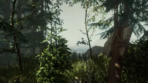 The Forest Screenshot 4 von 4